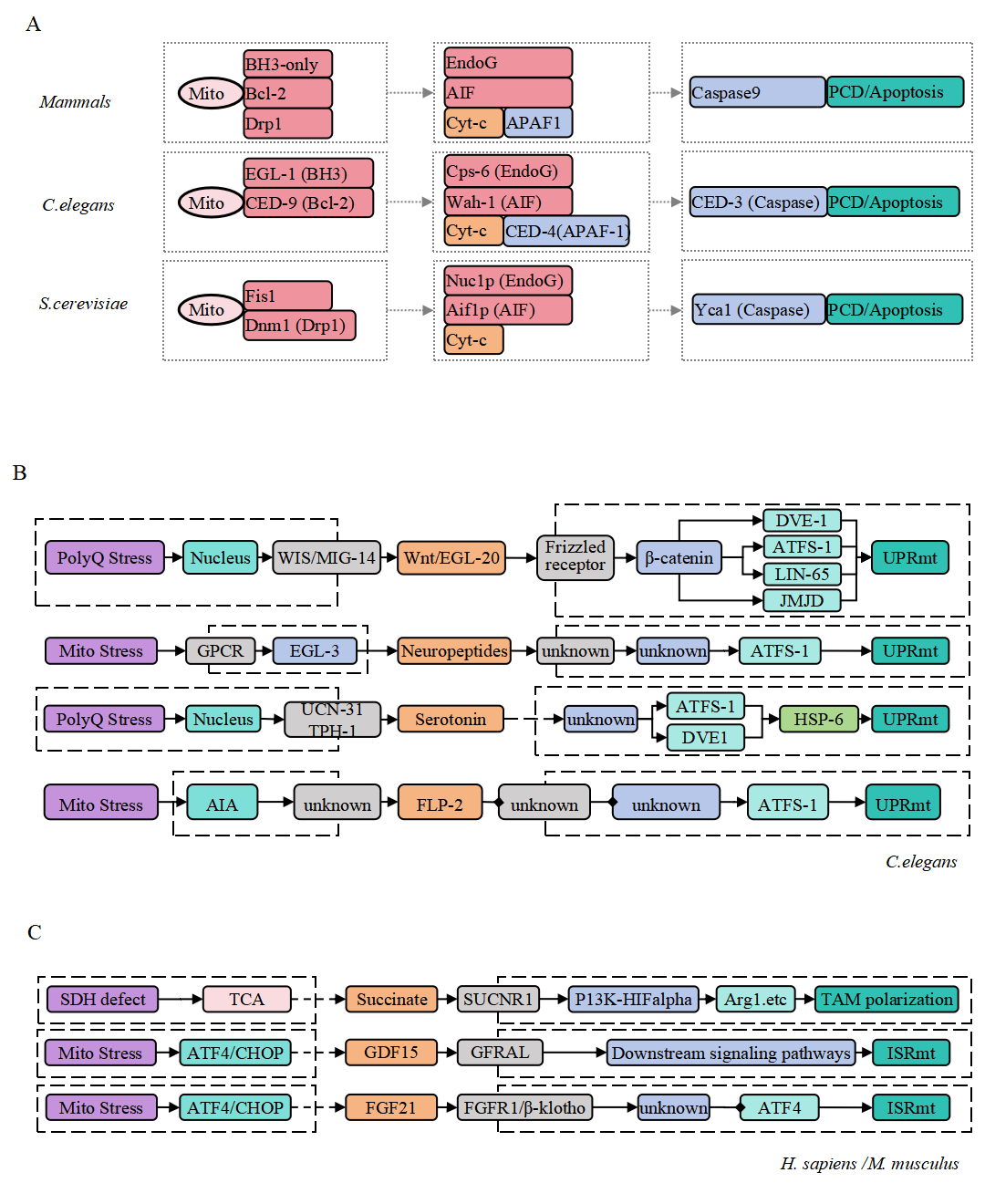 Description of the image